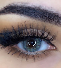 Charger l'image dans la galerie, Tiffany